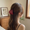 3 Inch Sparkling Crystal Hair Claw Clip